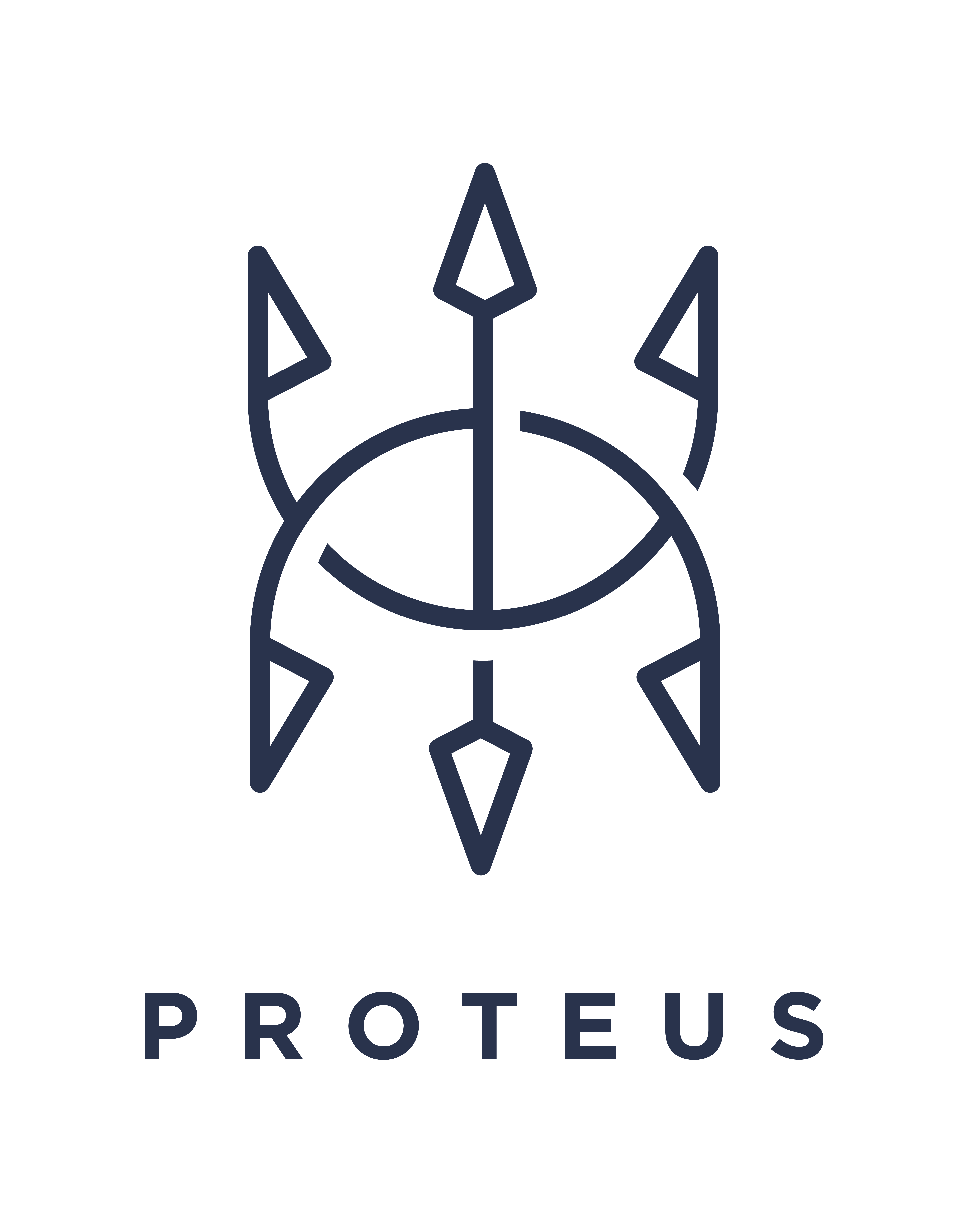 Proteus Snowboards